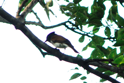 c0036878_2141515.jpg
