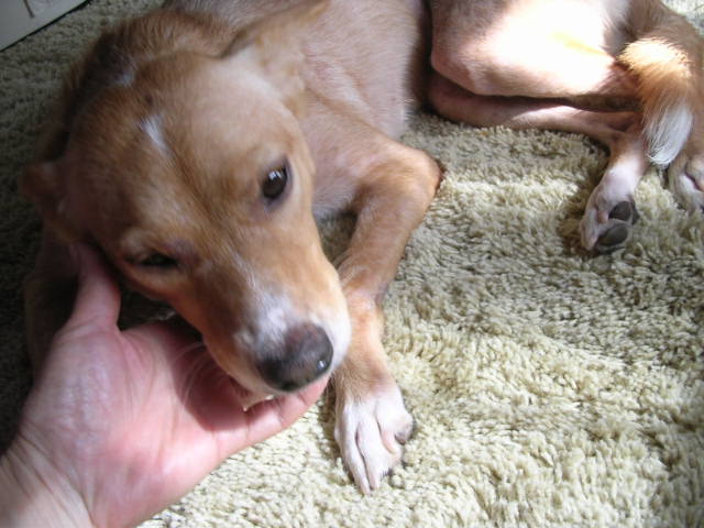 d0142182_16253920.jpg