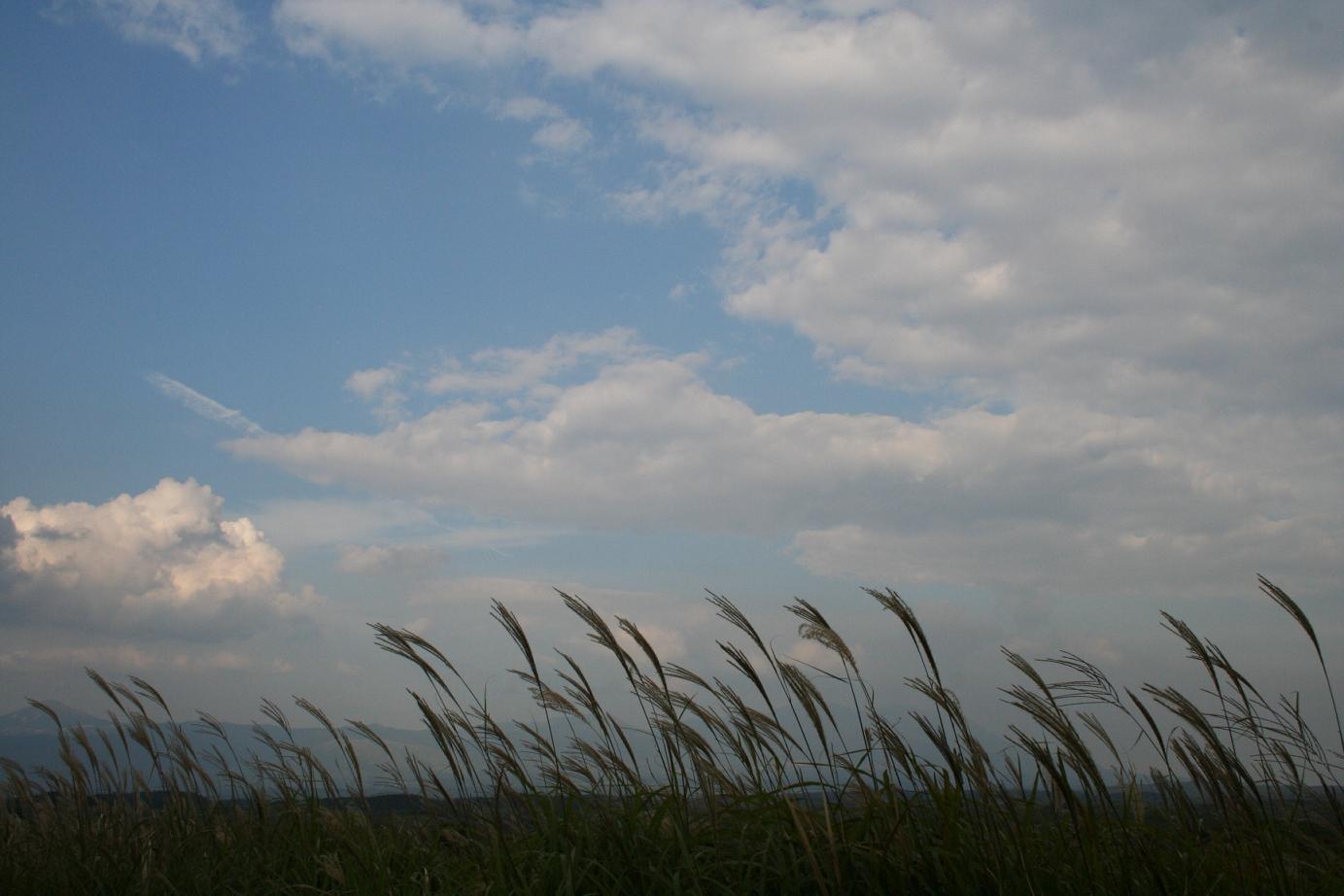 f0167382_2302824.jpg