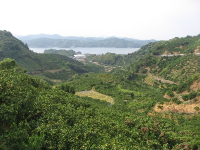 f0003283_1202187.jpg