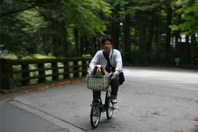 d0044986_0331270.jpg