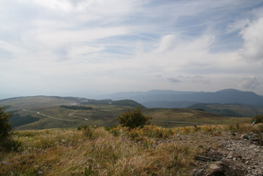 d0044986_23515491.jpg