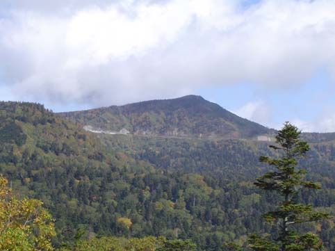 f0018388_2151760.jpg