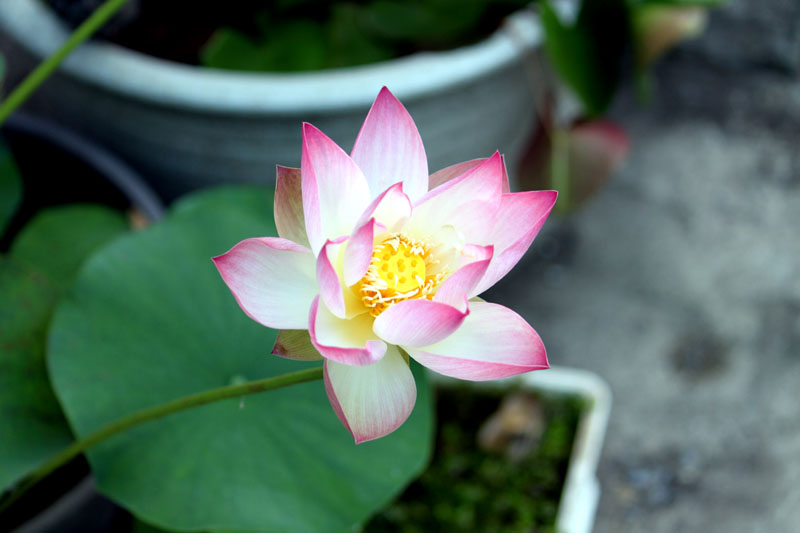 a0049090_18341714.jpg