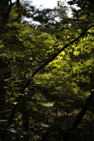 d0133693_16344879.jpg