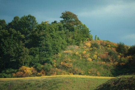 d0133693_9412037.jpg