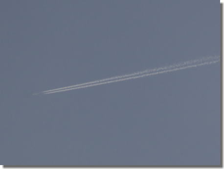 a0058195_16434676.jpg