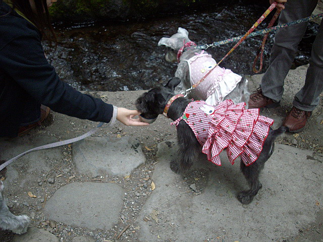 c0138198_16384950.jpg