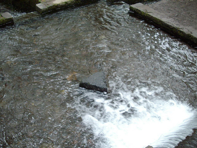 c0138198_1640836.jpg