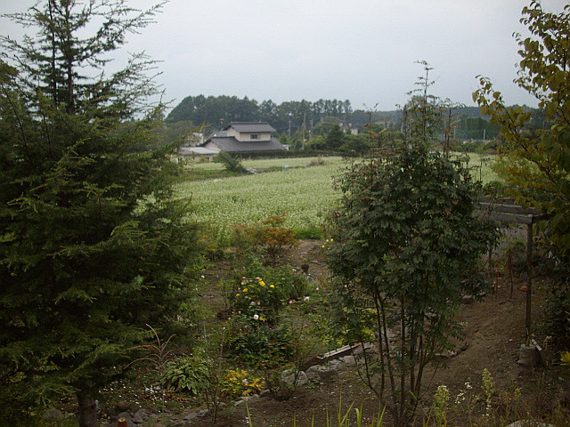 c0138198_164181.jpg