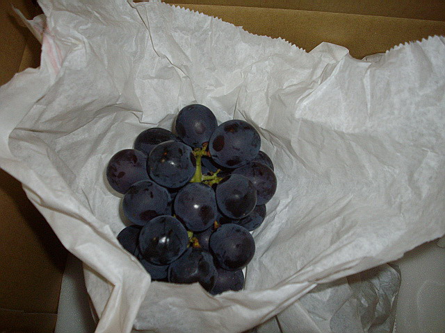 c0138198_1652544.jpg