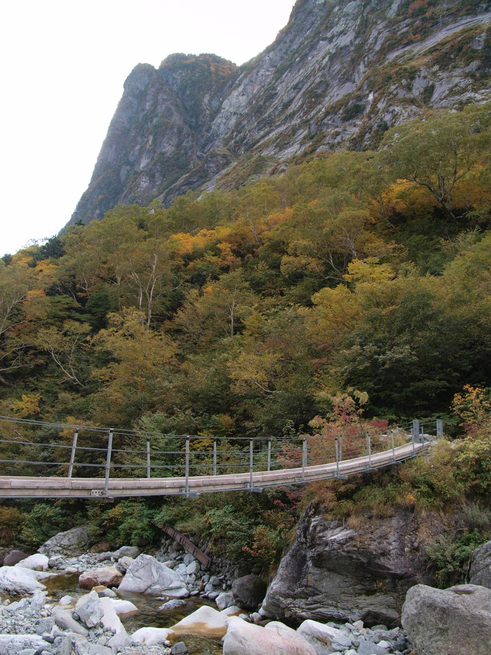 d0020300_2285140.jpg