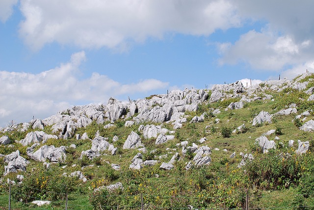 d0089706_2255202.jpg