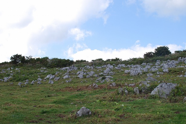 d0089706_23564120.jpg