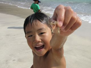 f0198909_20471441.jpg