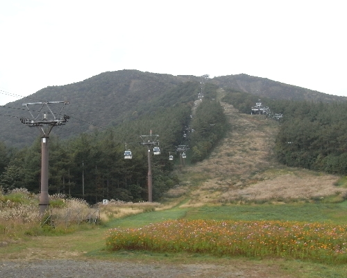 f0006510_19473363.jpg