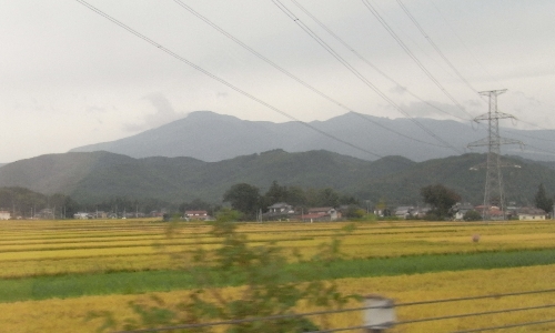 f0006510_1973912.jpg
