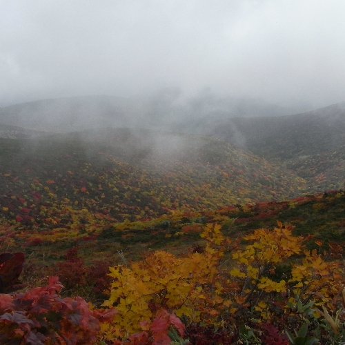 f0006510_2011794.jpg