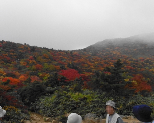 f0006510_2012589.jpg