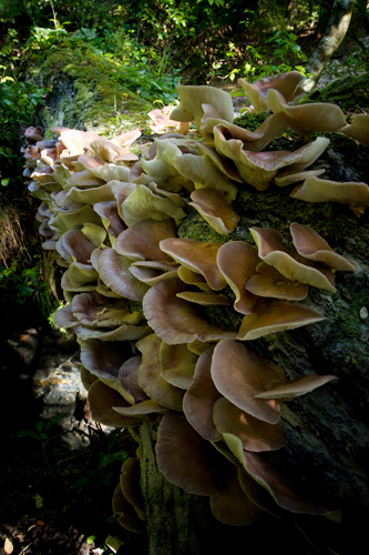 a0096313_1244655.jpg
