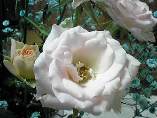 d0088920_17454656.jpg