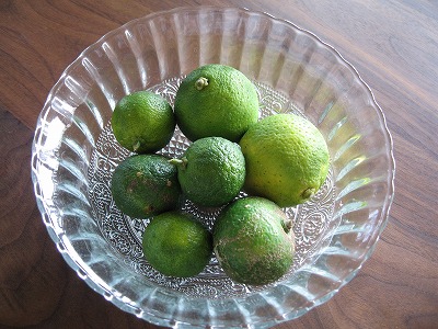 a0111621_12512100.jpg