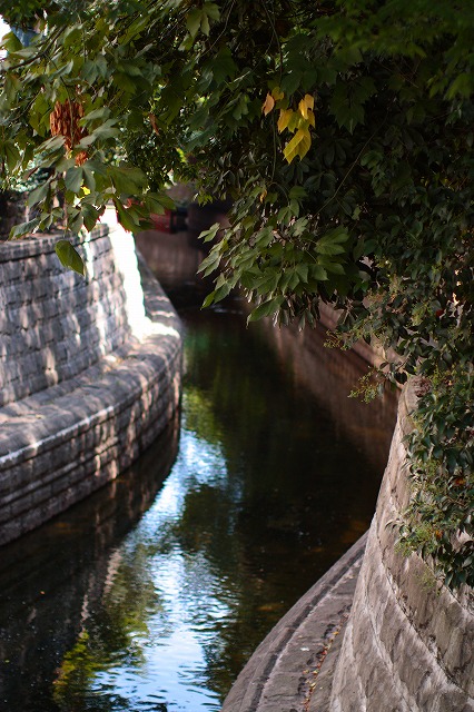 d0147321_011934.jpg