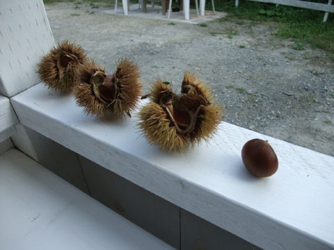 e0189021_21562768.jpg