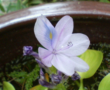 f0036223_18321292.jpg