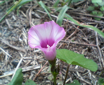 f0036223_952525.jpg