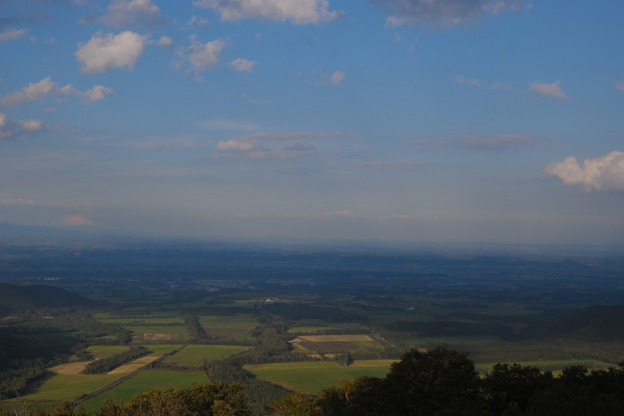 b0146024_20414691.jpg