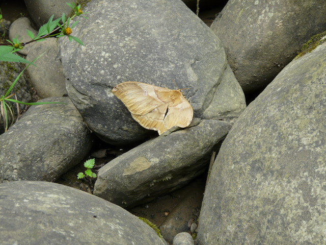 e0147226_22341591.jpg