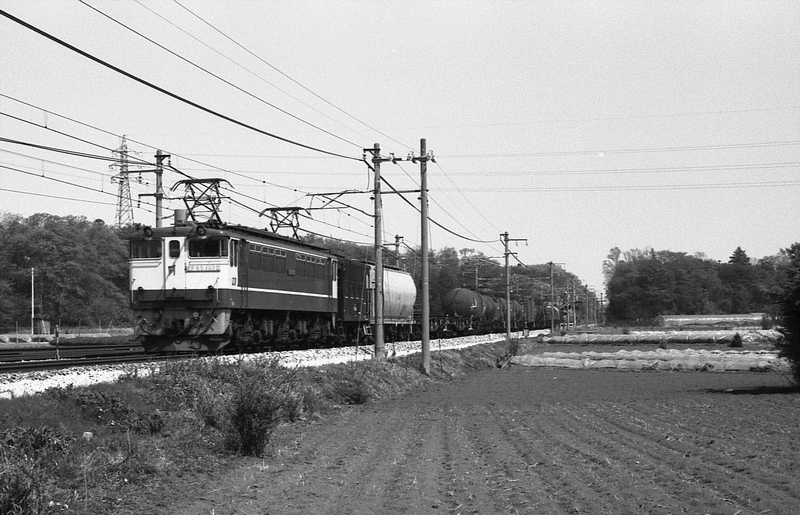 f0203926_23114674.jpg