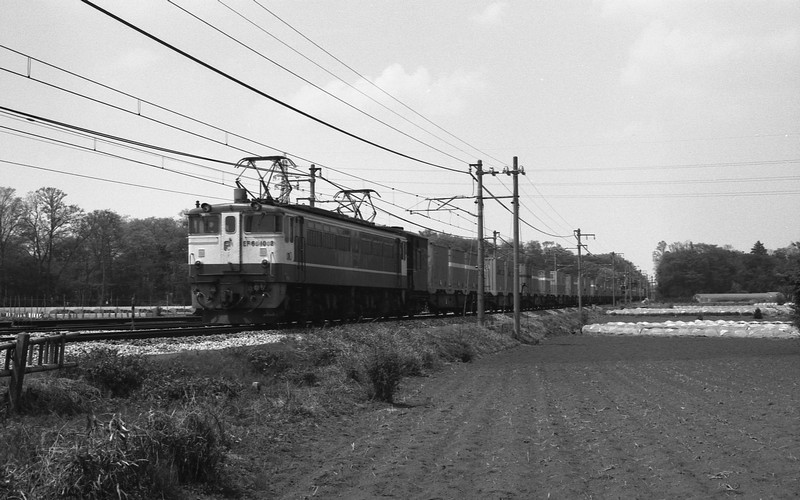 f0203926_2374625.jpg