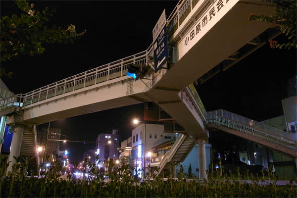 c0070528_23115174.jpg