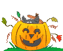 b0133329_10523016.gif