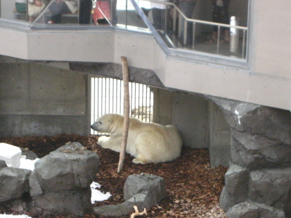 f0080631_2163914.jpg