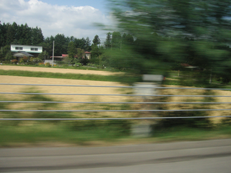 d0013834_15484929.jpg