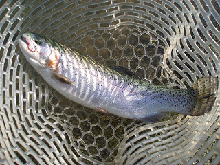 f0065341_22505850.jpg