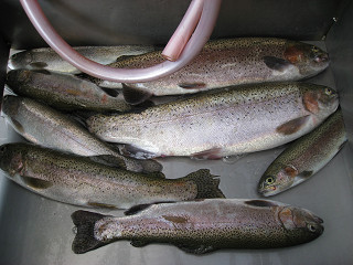 f0065341_22524139.jpg