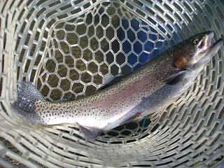 f0065341_22552118.jpg