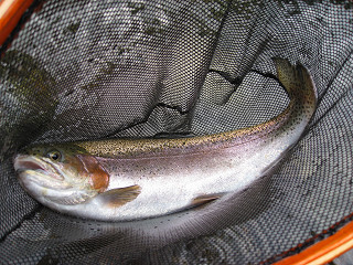 f0065341_2314216.jpg