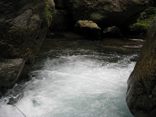 f0065341_2385613.jpg