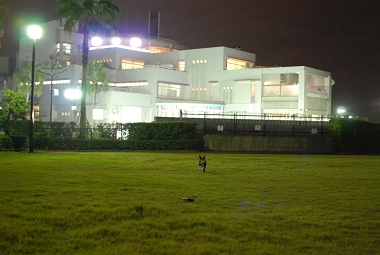 e0126046_0204259.jpg