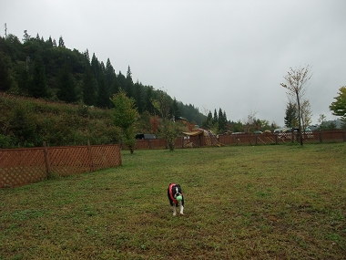 e0126046_032678.jpg