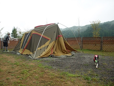 e0126046_063555.jpg