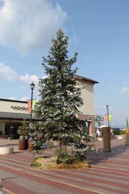 a0048852_15111895.jpg