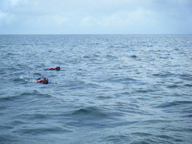 e0134752_20391486.jpg