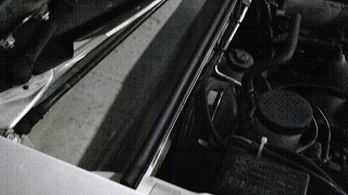 f0000652_1571167.jpg