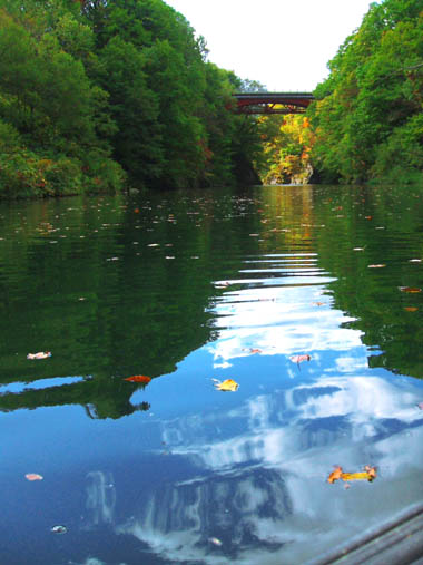 c0097856_0441772.jpg